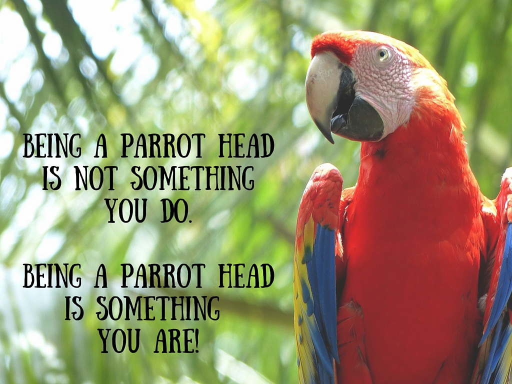 Parrot Head (1)